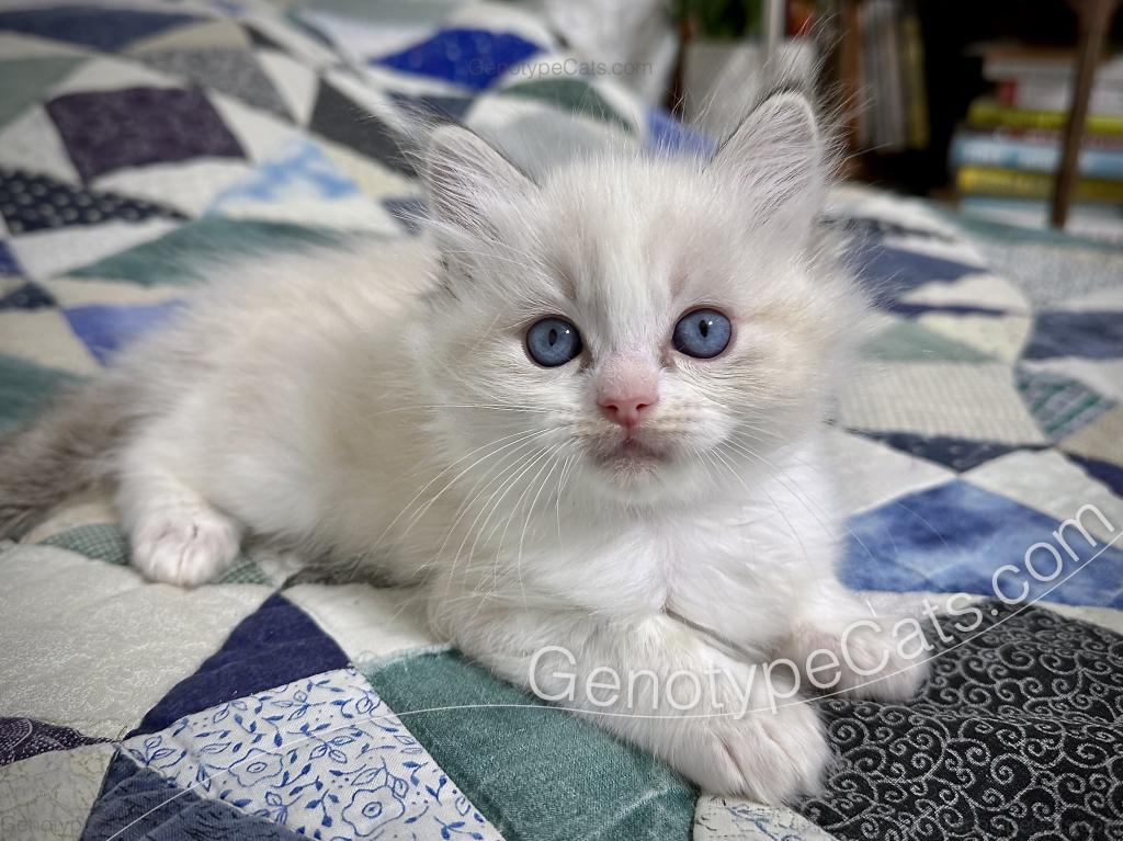 Egbert photo 14