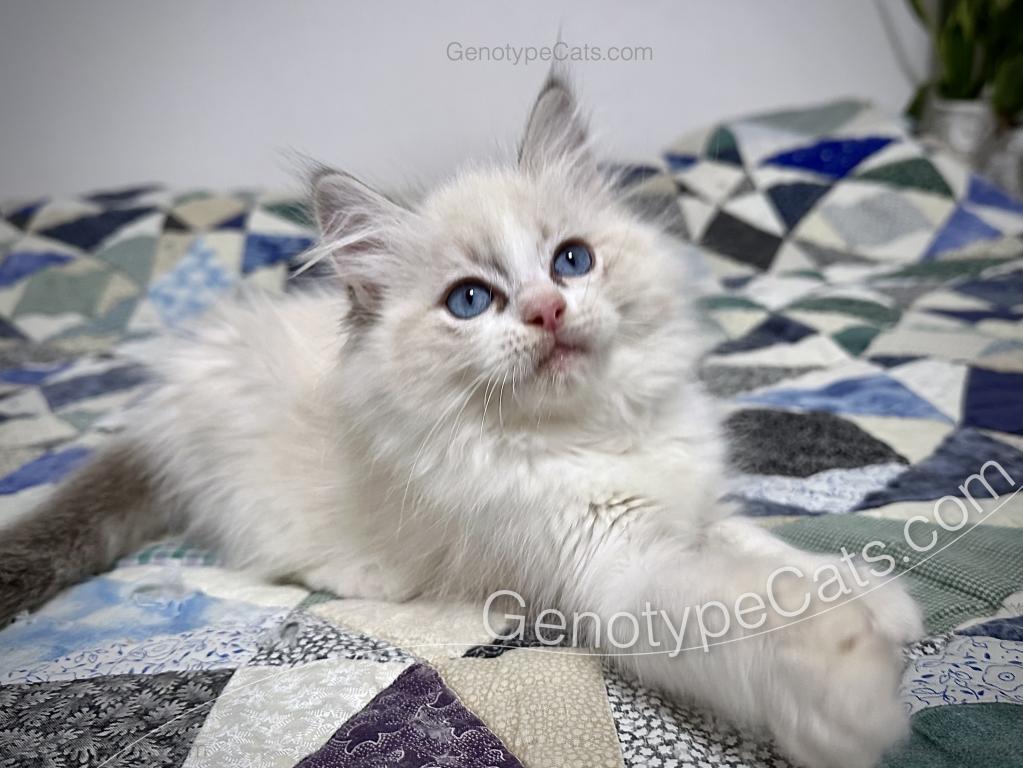 Egbert photo 10