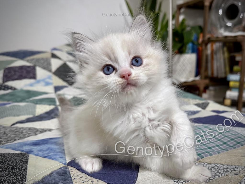 Egbert photo 25