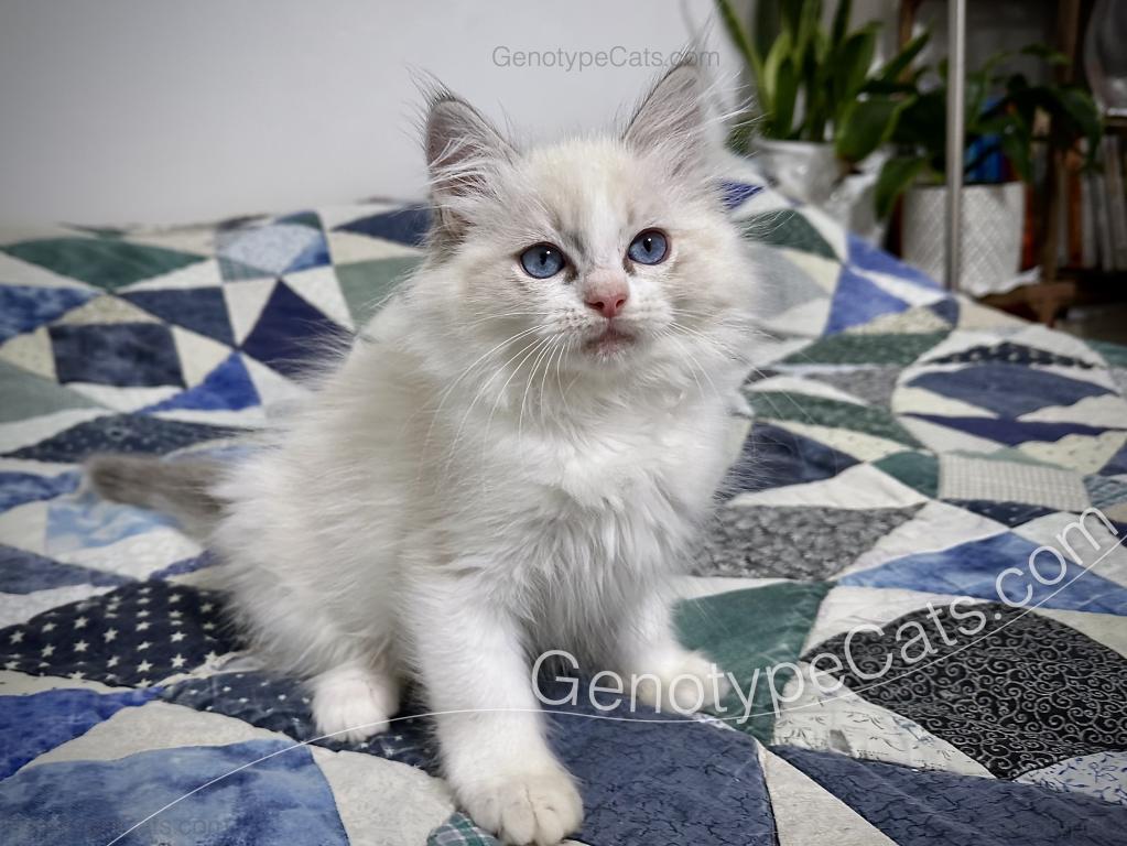 Egbert photo 31