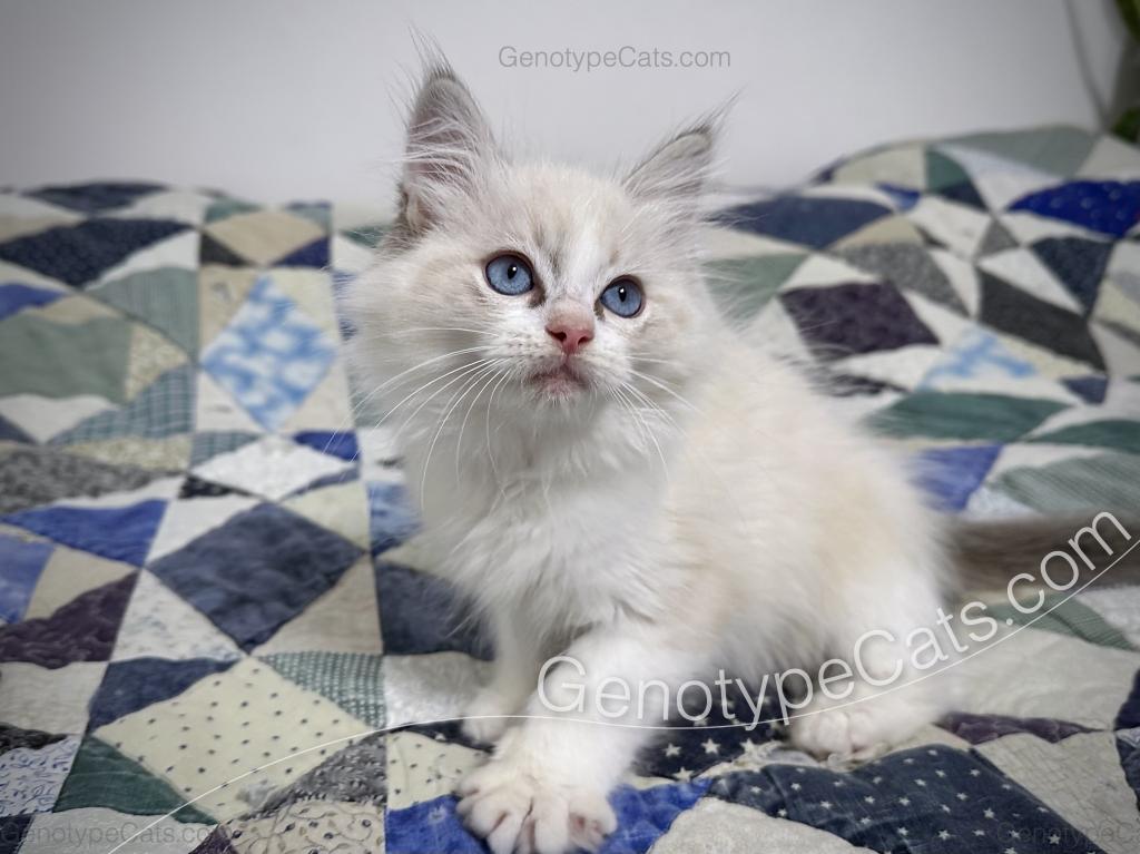 Egbert photo 26