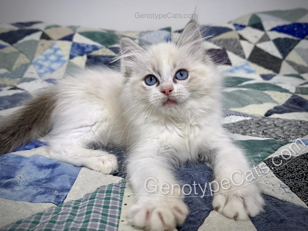 Egbert photo 15
