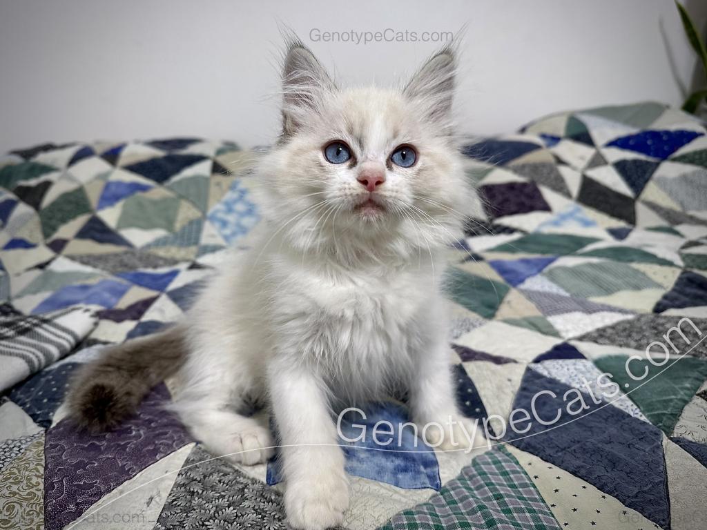 Egbert photo 38