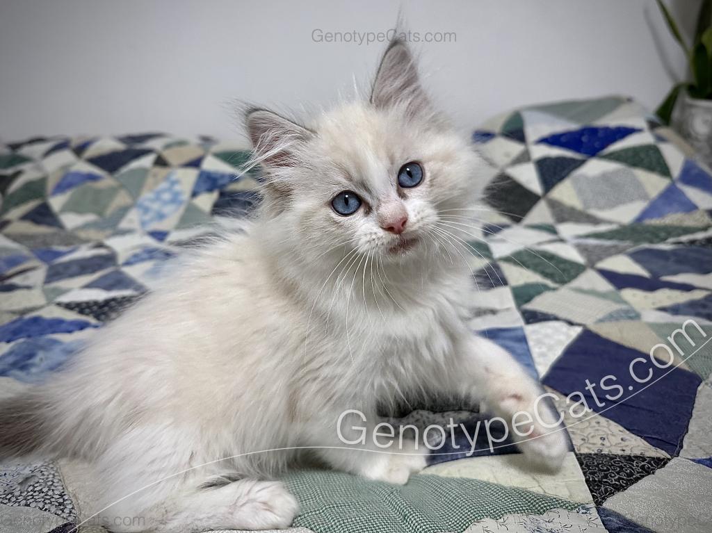 Egbert photo 7