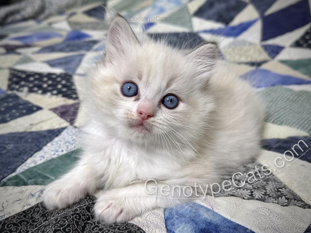 Egbert photo 15