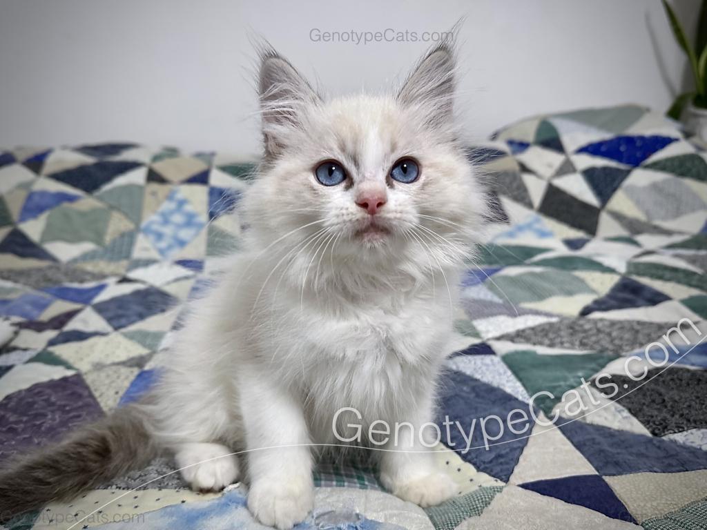 Egbert photo 39