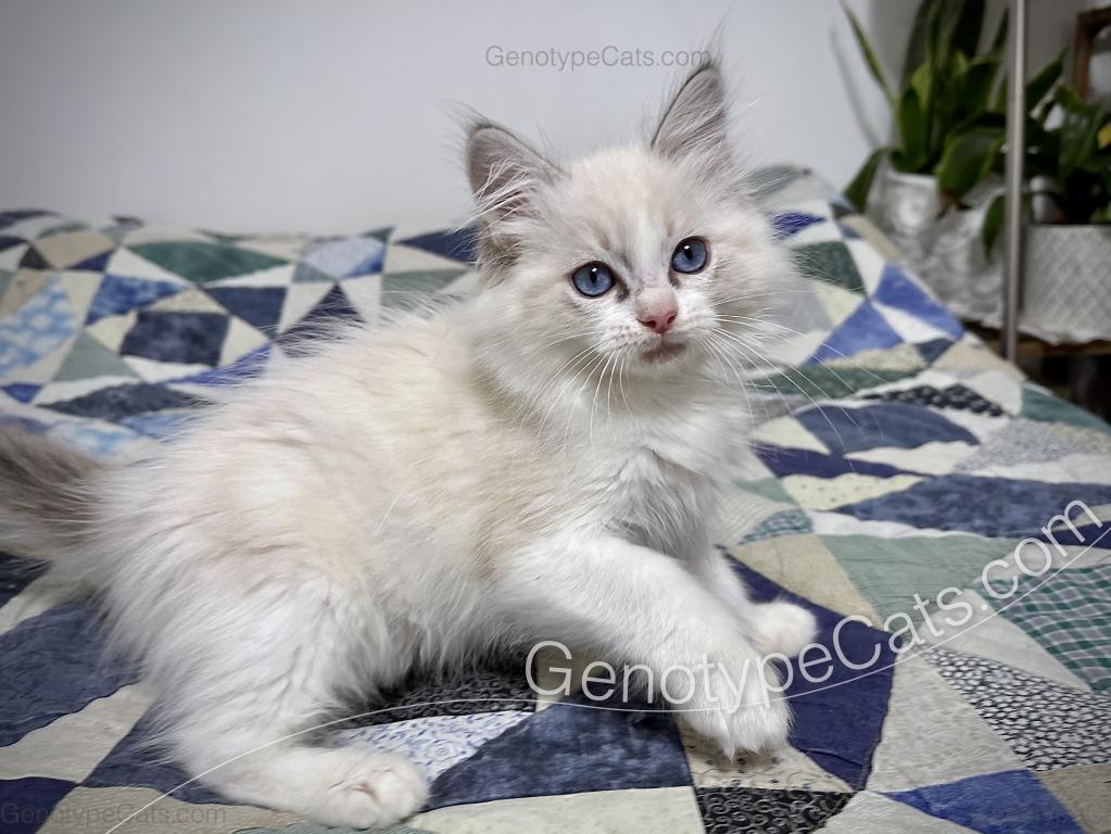 Egbert photo 29