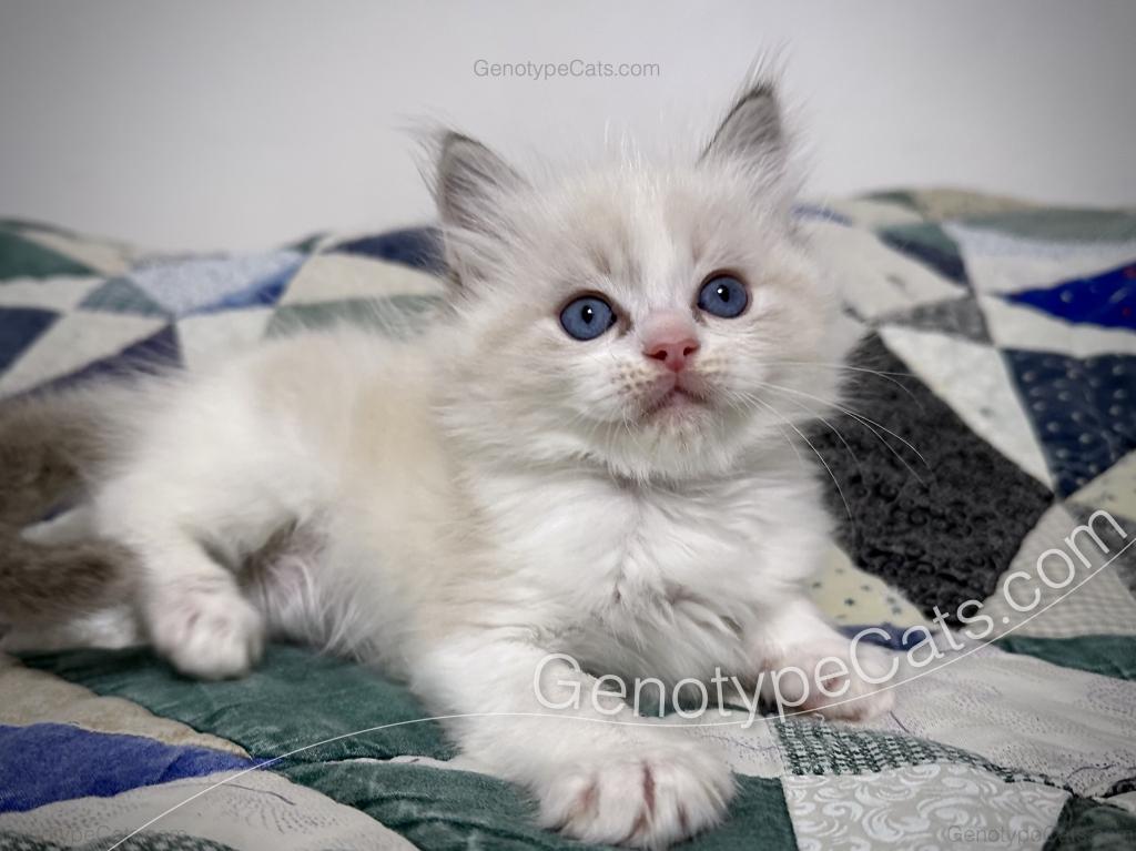 Egbert photo 10