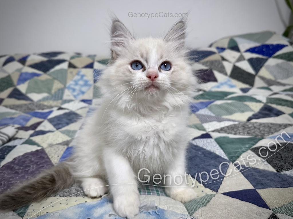 Egbert photo 40