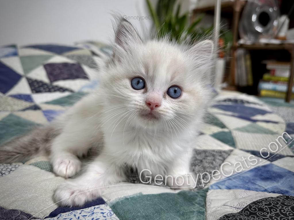 Egbert photo 1