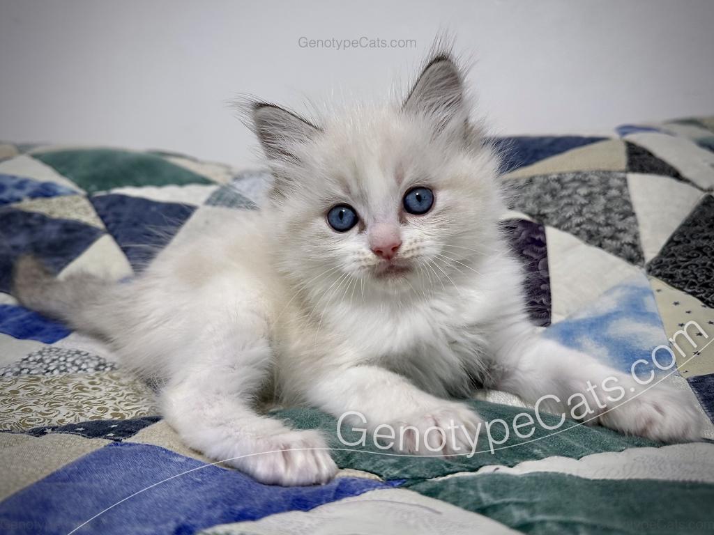 Egbert photo 8