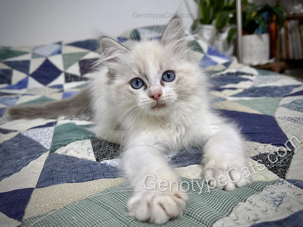 Egbert photo 11