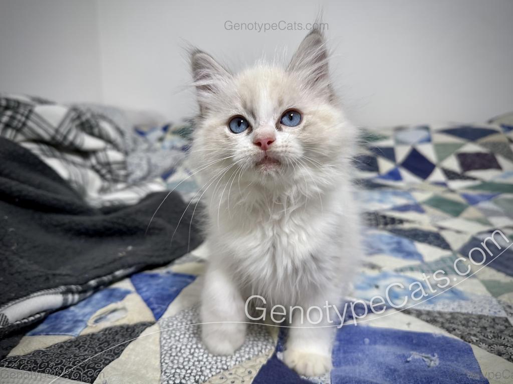 Egbert photo 18