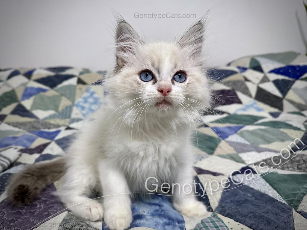 Egbert photo 36