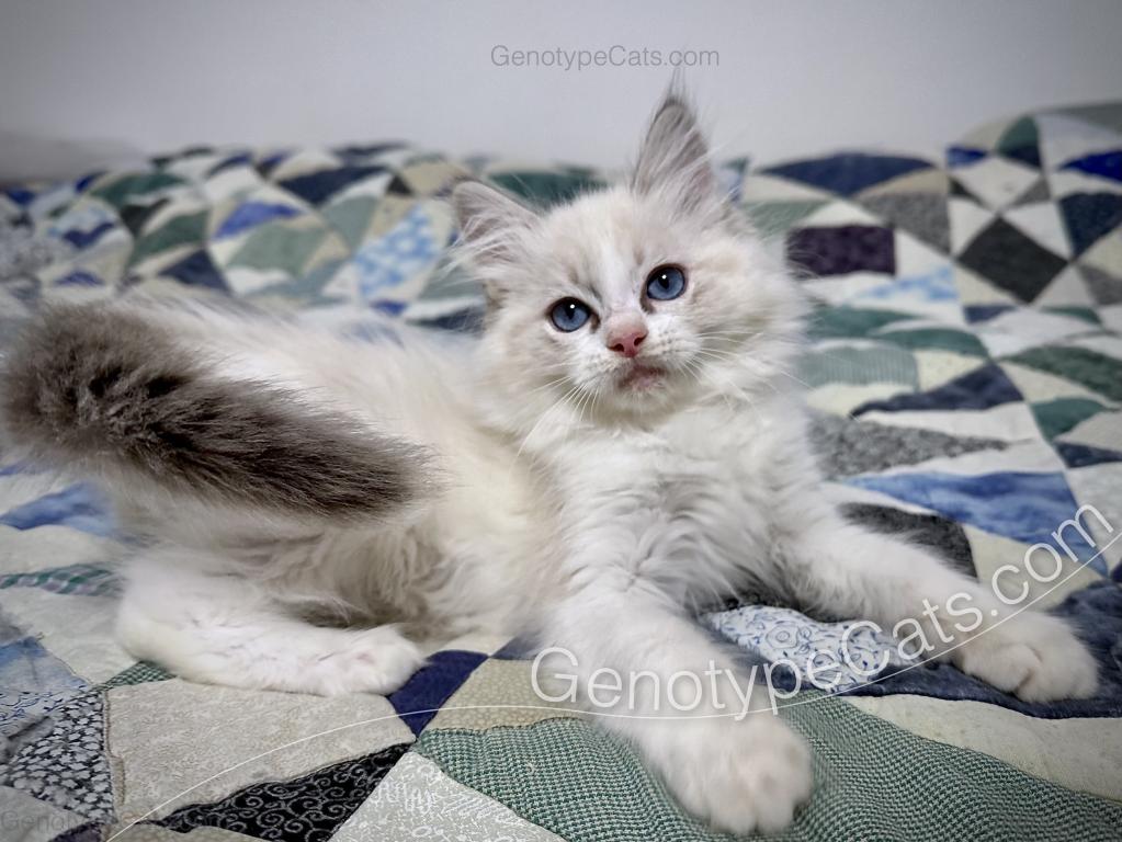 Egbert photo 43