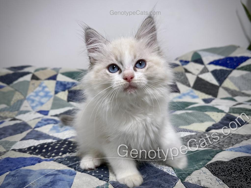 Egbert photo 32