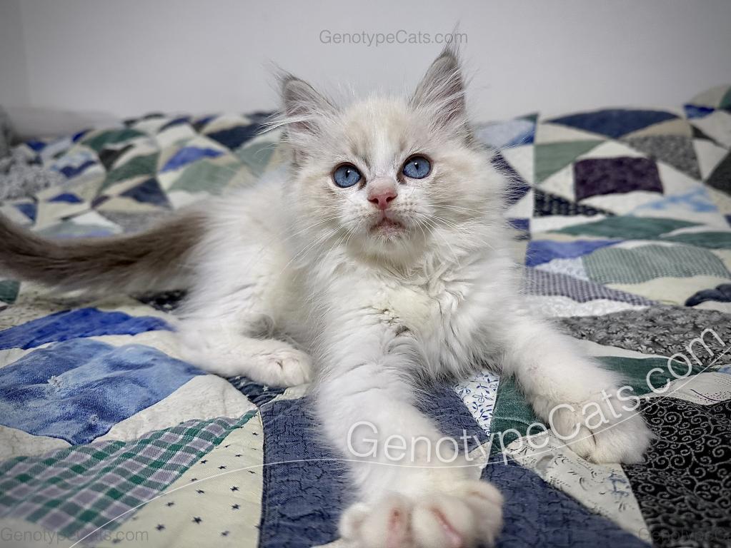 Egbert photo 16