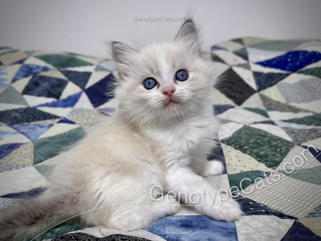 Egbert photo 19