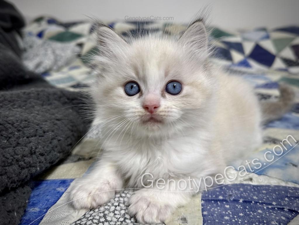 Egbert photo 3