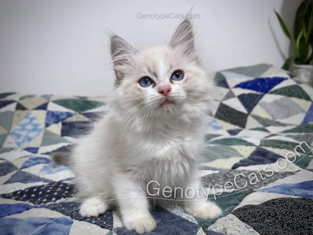 Egbert photo 34