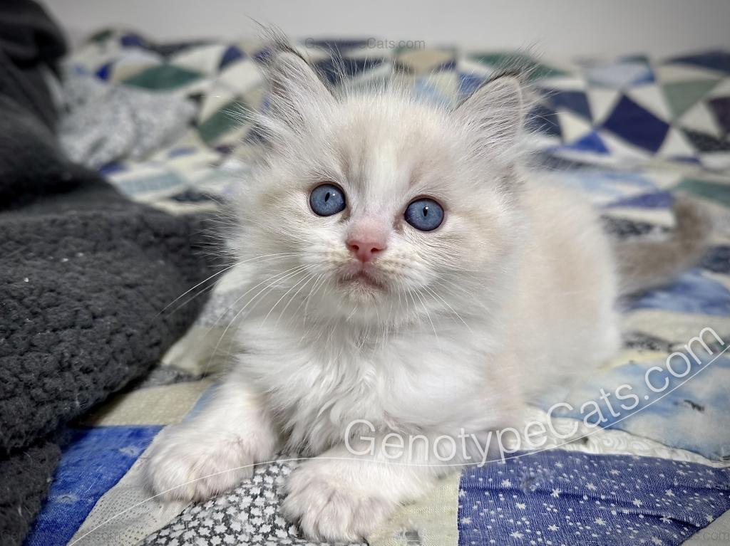 Egbert photo 5