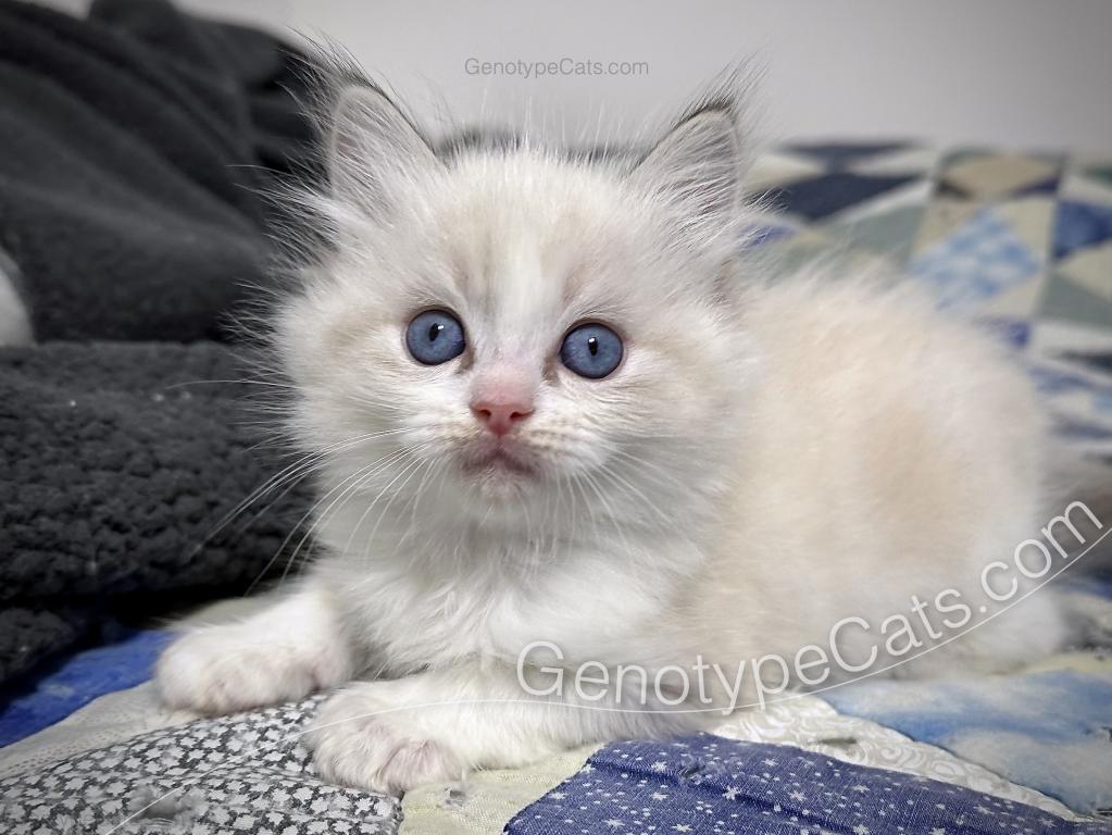 Egbert photo 6