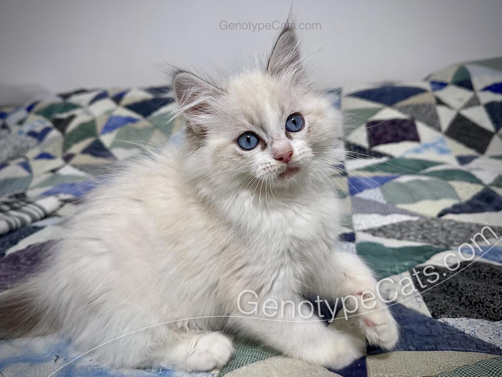 Egbert photo 8
