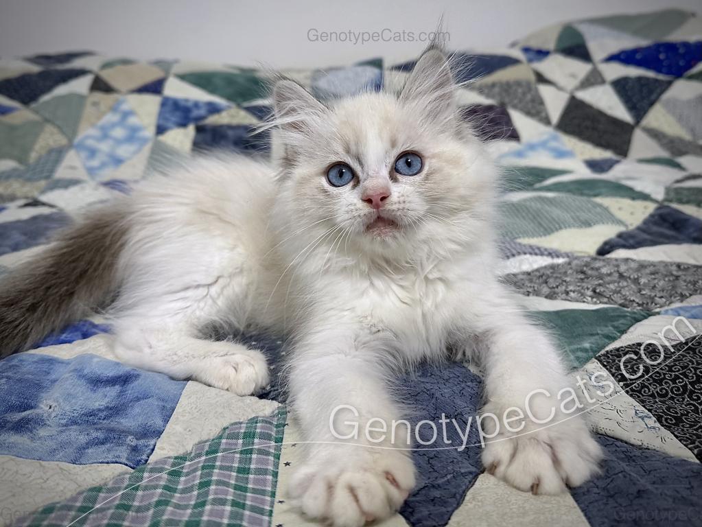Egbert photo 17