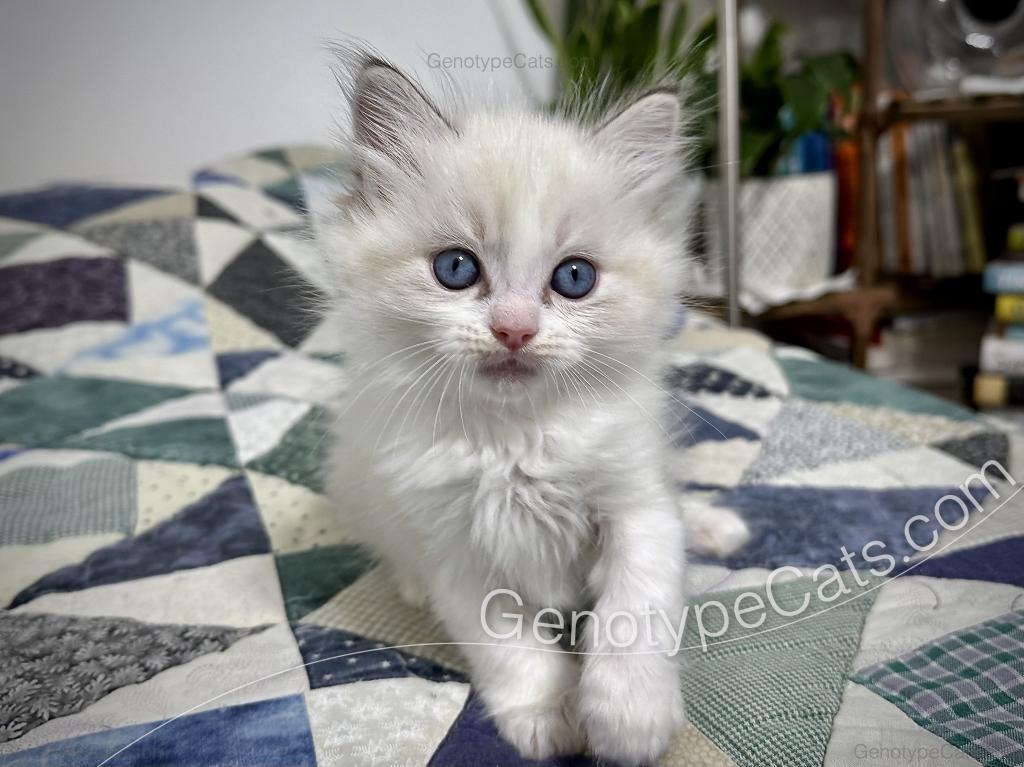 Egbert photo 21