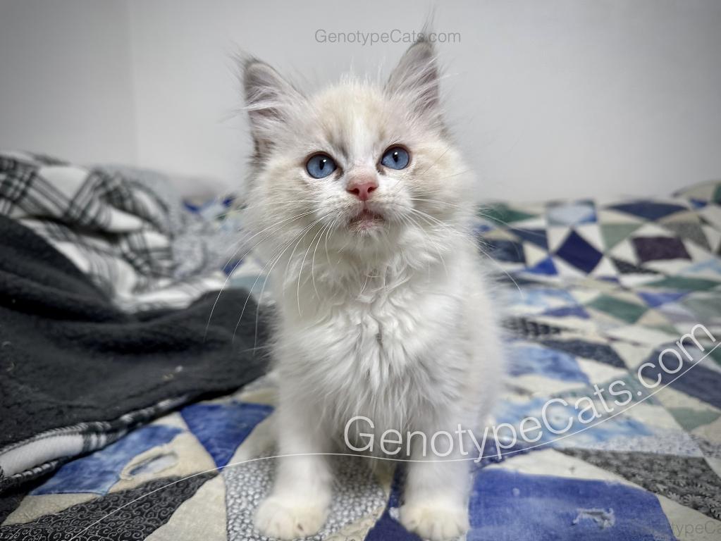 Egbert photo 19