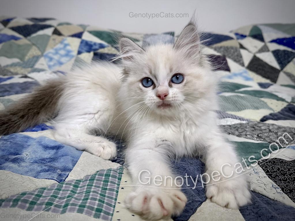 Egbert photo 14