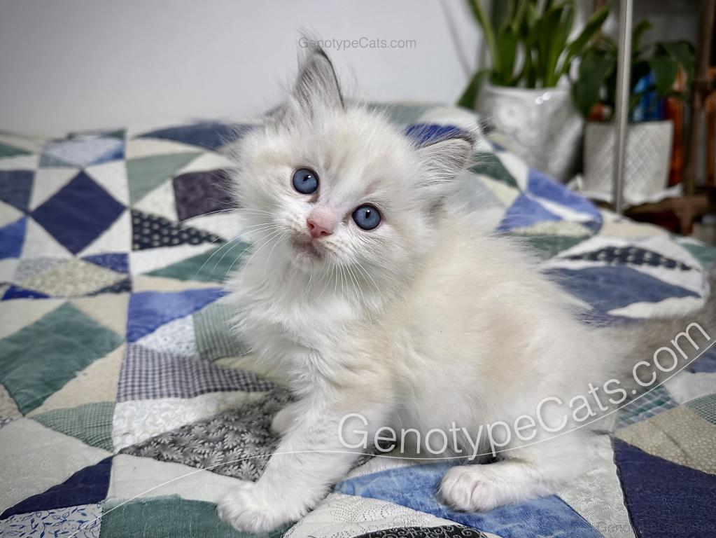Egbert photo 20