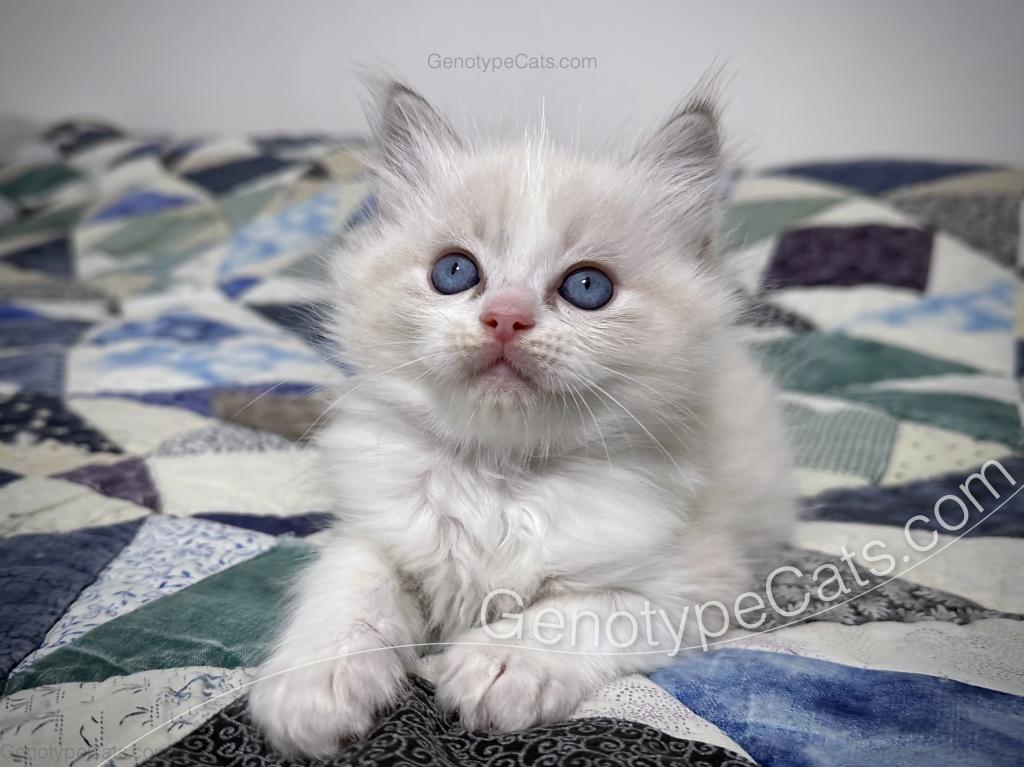 Egbert photo 16