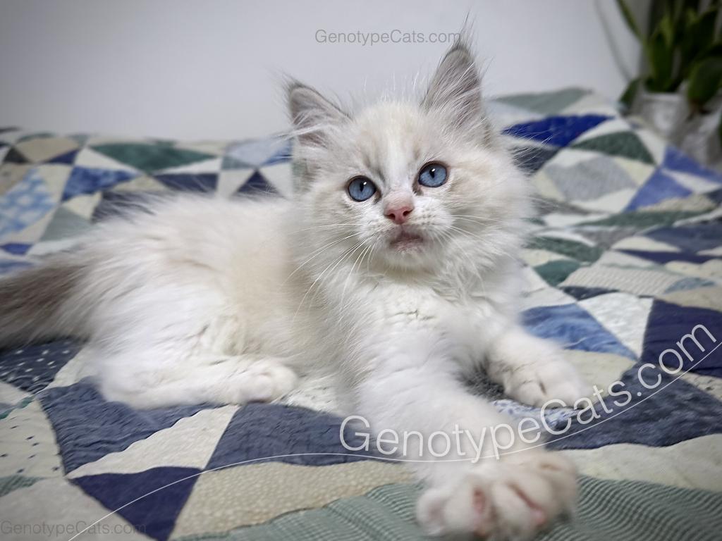 Egbert photo 4