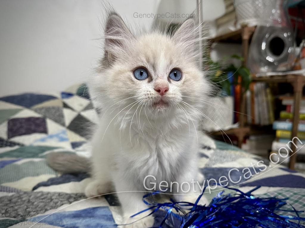 Egbert photo 2