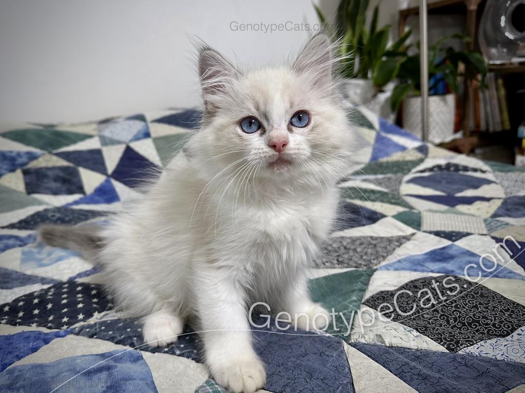 Egbert photo 30