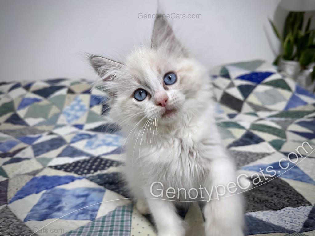 Egbert photo 1