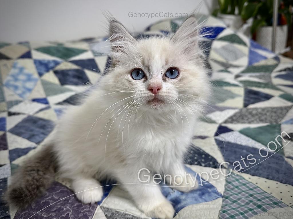 Egbert photo 37