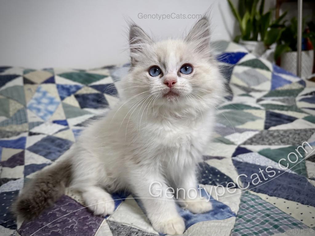 Egbert photo 35