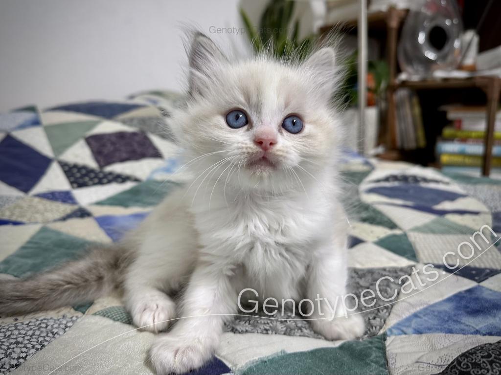 Egbert photo 18