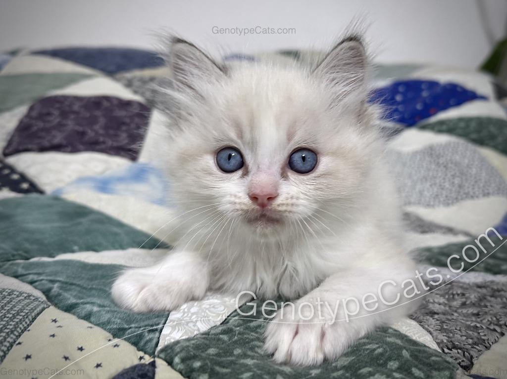 Egbert photo 11