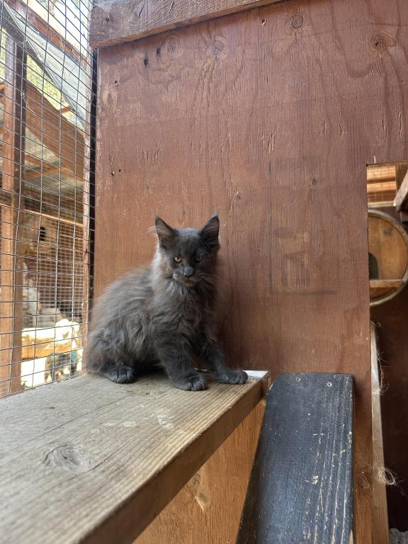 Zeus photo 2