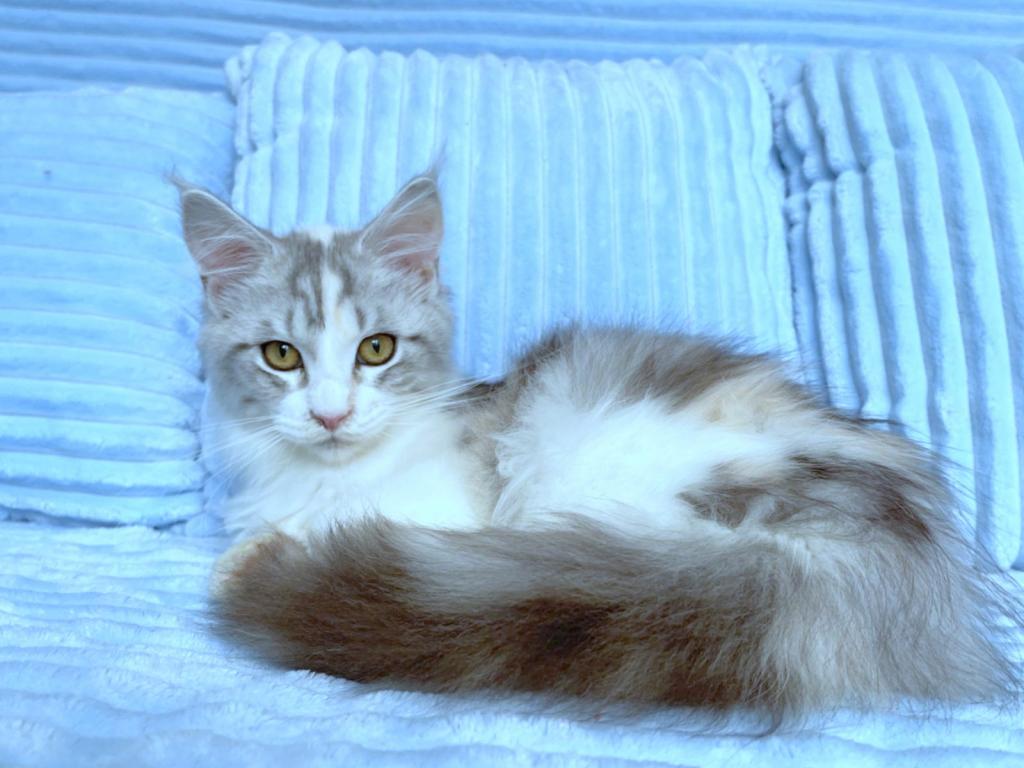 Edith photo 3