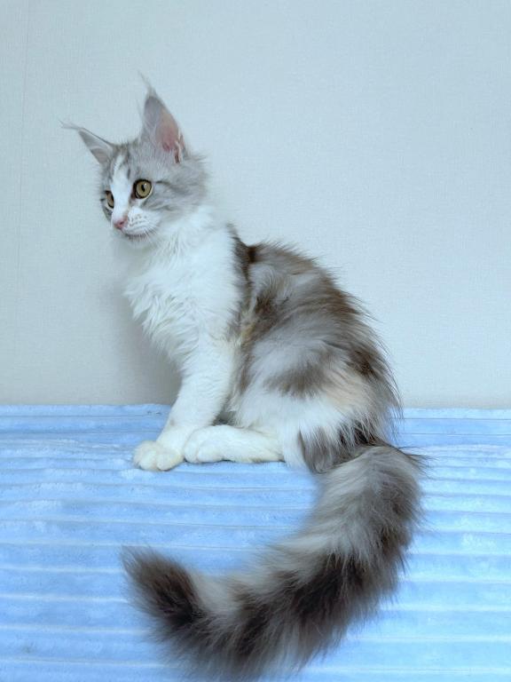 Edith photo 4