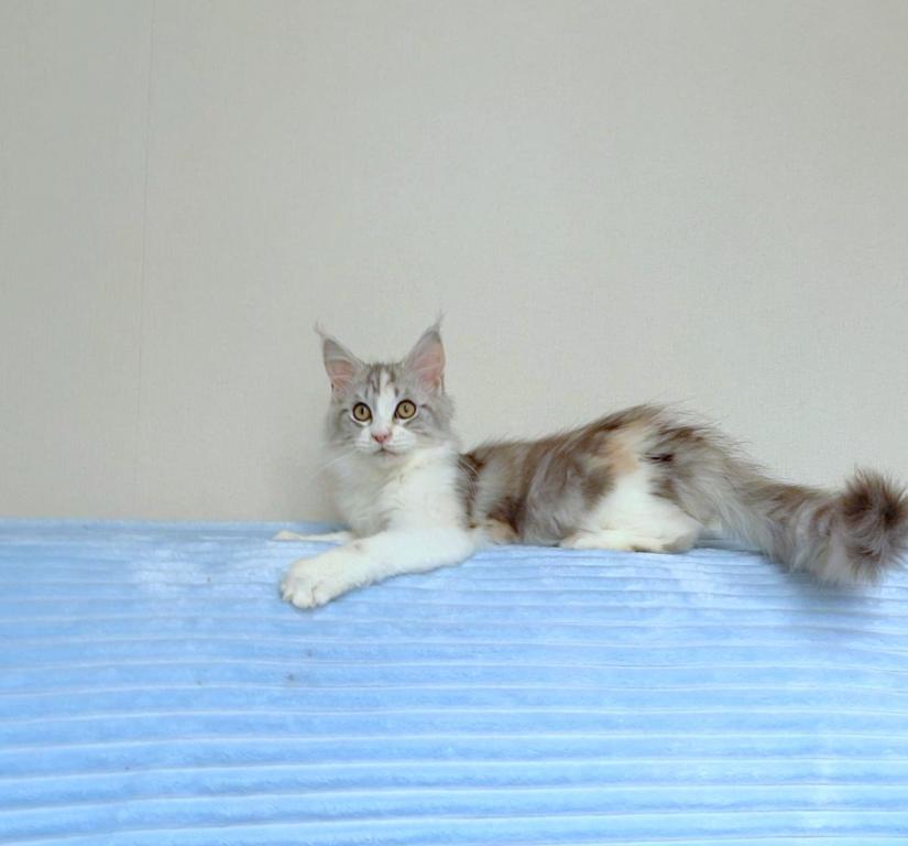 Edith photo 7