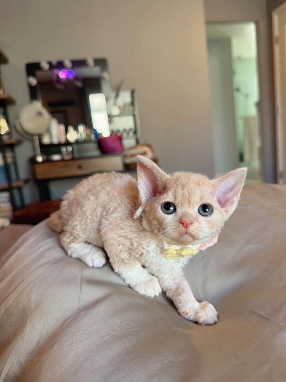 Peaches photo 3