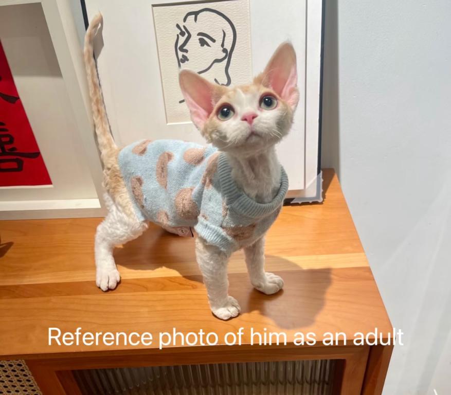 Peaches photo 2