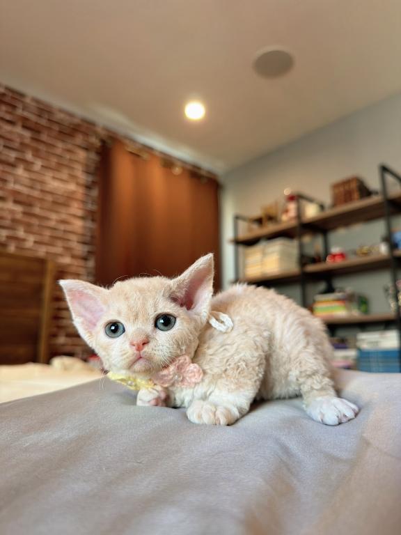 Peaches photo 4