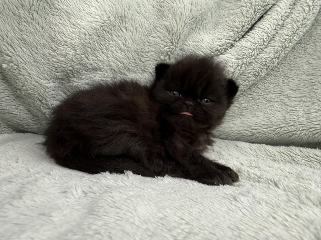 Edgar photo 5