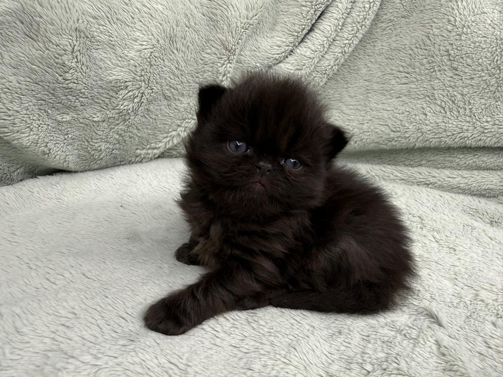 Edgar photo 2